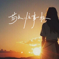敬往事一杯 - 田如一