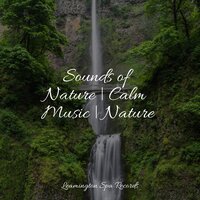 Pacific Dreams - Nature Sound Collection & Schlaflieder Für Kinder & Trouble Sleeping Music Universe