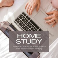 Relaxation Lifestyle - Concentration Study Music