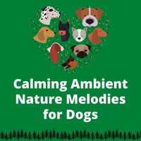 For Dog Ears Only - Dog Therapy