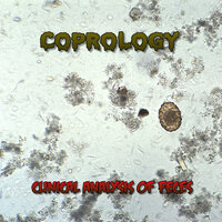 Fermentation Dysbiosis - Coprology