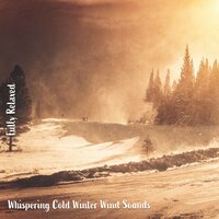 Whispering Cold Winter Wind Sounds, Pt. 18 - Steve Brassel