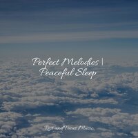 Mindful Focus - Musica Relaxante & Study Music & Relaxation Sleep Meditation