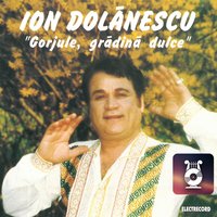 Floricea Măruntă - Ion Dolanescu