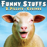 Fool - Bruno Pilloix