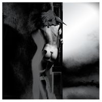 Natural Selection - UNKLE & Psycatron