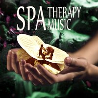 Home Spa - Massage Therapy Guru