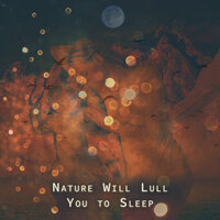 Lost in Paradise - Restful Sleep Music Academy & Restful Sleep Music Consort