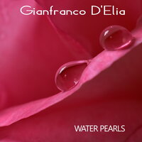 Rain in the woods - Gianfranco D'Elia