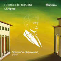 Indianisches Tagebuch I, BV 267: IV. Maestoso ma andando - Steven Vanhauwaert