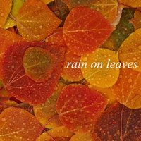 Gentle Sounds of Rain on Leaves - Background Noise From TraxLab