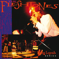 Deep In My Heart - The Fleshtones
