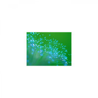 Map and Refresh - Mindfulness Healing Sleep BGM Project