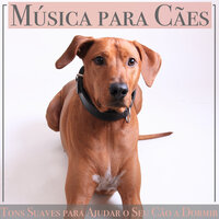 Felicidade Na Minha Alma - RelaxMyDog & Puppy Music Therapy & Dog Music Dreams