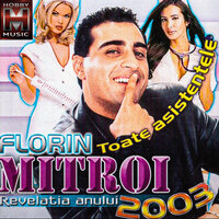 Toate asistentele - Florin Mitroi