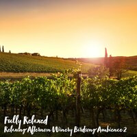 Relaxing Afternoon Winery Birdsong Ambience, Pt. 6 - Steve Brassel