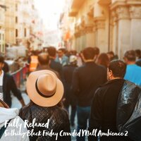 Soothing Black Friday Crowded Mall Ambience, Pt. 9 - Steve Brassel