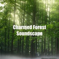 Charmed Forest Soundscape - Deep Sleep Nature Sounds
