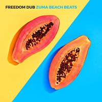 K.O. - Freedom Dub