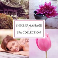 Oriental Cure and Zen Spa - Healing Oriental Spa Collection