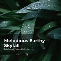 Explore the Woodland - ASMR Rain Sounds & Rain Sounds Nature Collection & Sleepy Rain