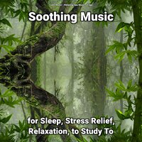 Soothing Music for Sleep and Stress Relief Pt. 75 - Relaxing Spa Music & Yoga & Calm music