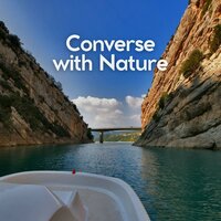 Morning Nature Sounds, Pt. 3 - Nature Ambience