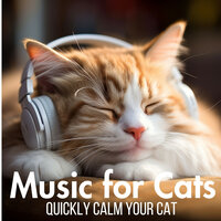 Cats' Chamber Concert - Relax My Cat & Cat Music Dreams & Cat Music Zone
