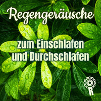 Regengeräusche zum Einschlafen und Durchschlafen - Teil 71 - Regengeräusche & Entspannungsmusik & Schlafmusik