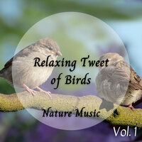 Lots Of Green Love - Cricket Sounds & Sleep Sounds Of Nature & Music for Sleeping Ensemble