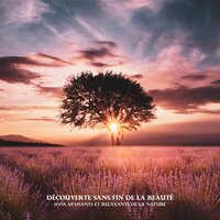Synonyme de bonheur - Jardin de Détente