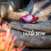 Lost in Your Eyes - Meditation Awareness & Meditation Music Experience & Meditation Zen Master