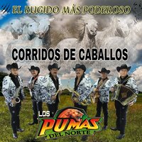 El Matalote - Los Pumas del Norte