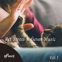 Hound Dog - Music For Cats & Dogs music & Relax My Dog Music