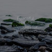 Happy Sundays - Mindfulness Meditation Universe & Sleep Sounds Of Nature & Meditation