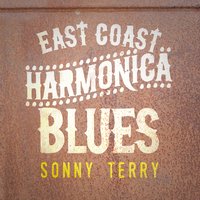 Rain Crow Bill - Sonny Terry
