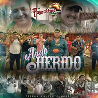 Ando Herido - Los Pajaritos De Tacupa