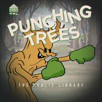 Pi Chords - IQ & The Public Library