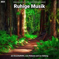 Ruhige Musik pt. 51 - Entspannungsmusik Cornelia Verdin & Schlafmusik & Entspannungsmusik