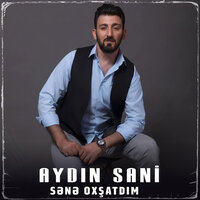 Sənə Oxşatdım - Aydin Sani