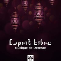 Musique pour le yoga - Harpe et magie & Musique Relaxante et Détente & Musique Relaxante et Détente & Harpe et magie