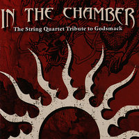 Spiral - Vitamin String Quartet