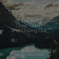 The Path of Peace - Tranquil Music Sound Of Nature & Lullabies for Deep Meditation & Entspannungsmusik Oase