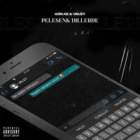 PELESENK DİLLERDE - G0KAY & Velet