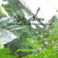 Trickling Water Sounds for Calming Down, Pt. 15 - Sebastian Riegl