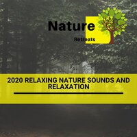 Aromatic Majesty - Yoga Music & Power Yoga Nature Sounds