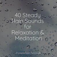 Splashing Rain - Water Sound Natural White Noise & Relajantes sonidos de lluvia & ZEN
