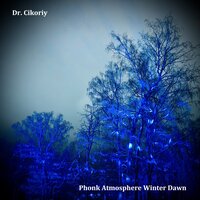 Phonk Atmosphere Winter Dawn (Slowed and Reverb) - Dr. Cikoriy