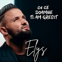 Ce suprare ce chin - Elys