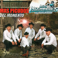 Francisco Trejo - Los Indomables De Huetamo